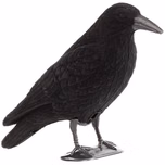 crow radio