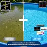 From Brown Pool to Clear Water: How Obedience Unlocks God's Purifying Grace