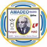 RADIO  AMADEO