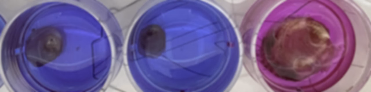 Gene Pooling