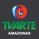 RADIO TV ARTE FM PARINTINS