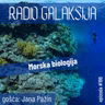 Radio Galaksija #199: Morska biologija (Jana Pažin) [13-05-2025]
