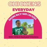 Chickens Every Day