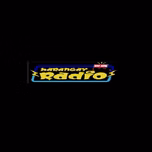101.1 BARANGAY RADIO DIPOLOG