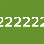 222222