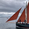 Máirtín Lee, ó Choiste Fhéile an Mhaimín