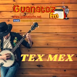 Tex Mex En Guanatozfm