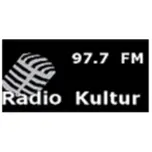 Radio Kultur
