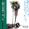 豐音樂_野火作品｜鄒之春神 高一生