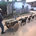 Sind Produtor Rural Pocrane Mg