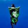 Freediving, Mental Strength & the Beauty of the Red Sea | Salma Shaker 186
