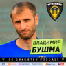 Владимир Бушма ⚒
