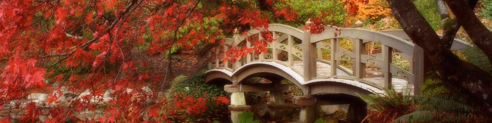 JPN_979