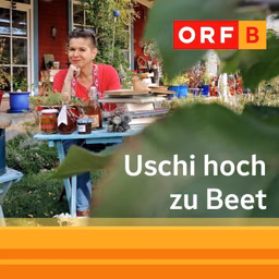 Uschi hoch zu Beet