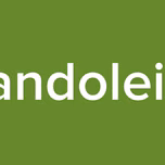 Bandoleiro