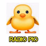 Radio Pollito pio
