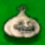 Xdnahu2