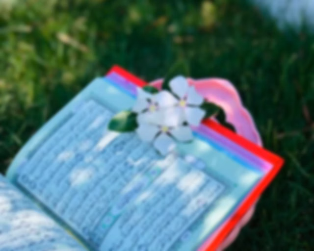 نور الاسلام  طريق الهدايه