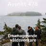 478. Ensamagerande våldsverkare