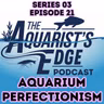 Aquarium Perfectionism: How to Stop Comparing Your Fish Tank and Enjoy the Hobby Again