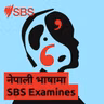 Domestic Violence: Survive, Thrive & Teach - SBS Examines: घरेलु हिंसाबाट मुक्ति - बाँच्ने, अगि बढ्ने र सिकाउने यात्रा