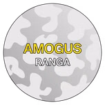 amogus radio