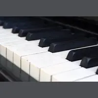 All Classical Piano Chamber Works and Concertos 配信中