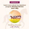 95: Learn More About My Signature Program: Healing Horses Their Way