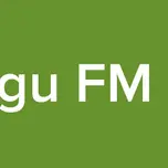 Argungu FM Radio