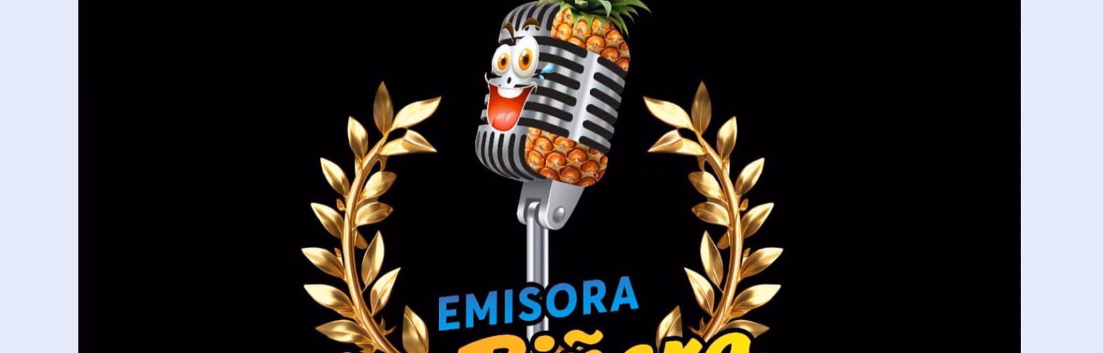 LA PIÑERA WEB
