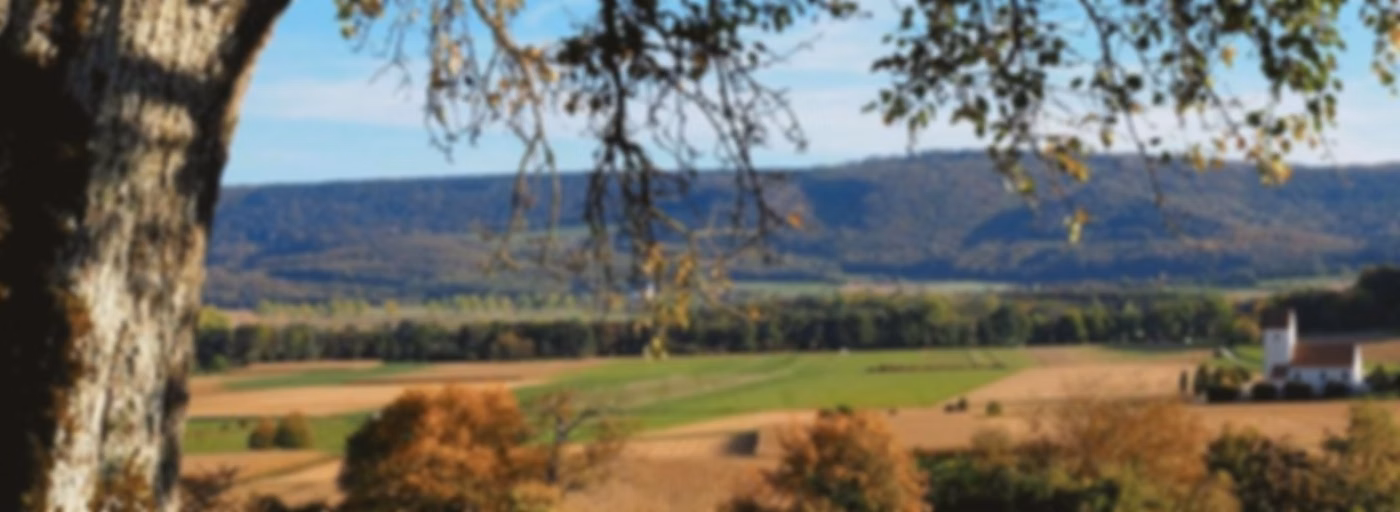 Sundgau Vox