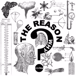 Reason Why