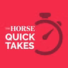 The Horse Quick Takes - Signs of Hindgut Problems in Horses