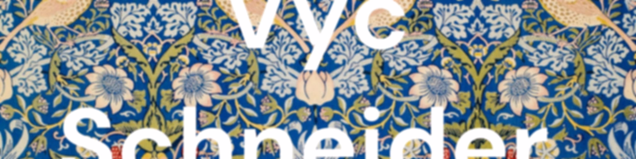 Vyc Schneider