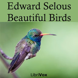 Beautiful Birds by Edmund Selous (1857 - 1934)