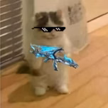 anonimo