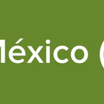 Radio Oldies México (AppOne relay)