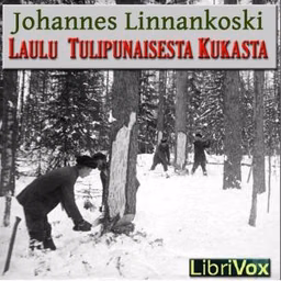 Laulu tulipunaisesta kukasta