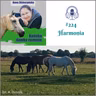 #224 Harmonia