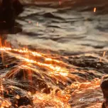 AxelVega