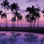 BahamaMamas