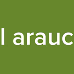 el arauco