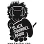 Black Squirrel Radio