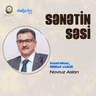 Novruz Aslanın sənət yolu: Sevilən mahnıların yaranma hekayəsi I Sənətin səsi