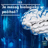 Je mozog biologický počítač?