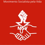 MSVBrasil