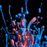 What Makes a Fluid a Fluid?