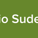 Radio Sudestar