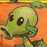 Nibras