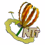 NTT FM